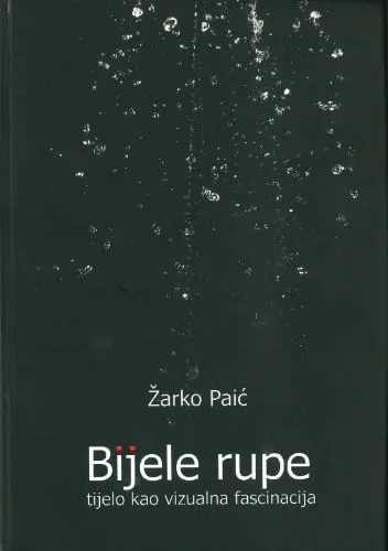 Žarko Paić - Bijele rupe